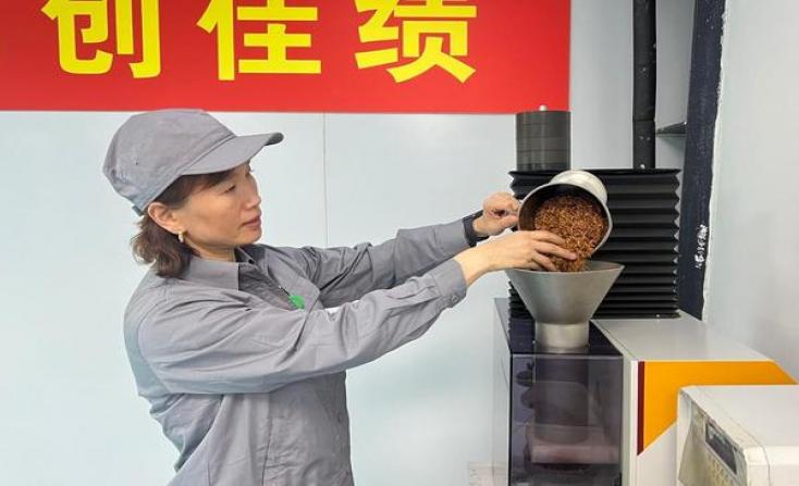 红塔山（软经典100）